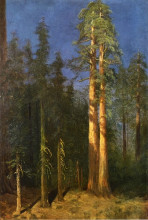 Репродукция картины "california redwoods" художника "бирштадт альберт"