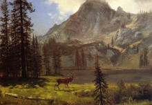 Копия картины "call of the wild" художника "бирштадт альберт"