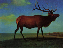Картина "elk" художника "бирштадт альберт"