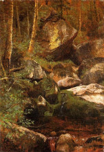 Репродукция картины "forest stream" художника "бирштадт альберт"