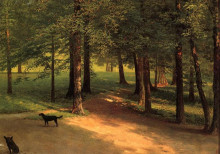 Репродукция картины "irvington woods" художника "бирштадт альберт"