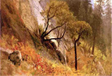 Репродукция картины "landscape study. yosemite, california" художника "бирштадт альберт"