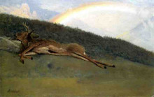 Репродукция картины "rainbow over a fallen stag" художника "бирштадт альберт"