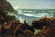 Репродукция картины "sea lions, farallon islands" художника "бирштадт альберт"
