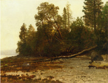 Репродукция картины "the fallen tree" художника "бирштадт альберт"
