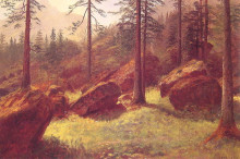 Репродукция картины "wooded landscape" художника "бирштадт альберт"
