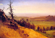 Копия картины "newbraska wasatch mountains" художника "бирштадт альберт"