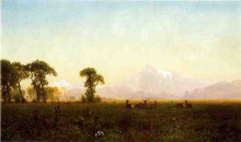 Репродукция картины "deer grazing, grand tetons, wyoming" художника "бирштадт альберт"