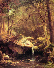 Картина "the mountain brook" художника "бирштадт альберт"