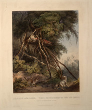 Репродукция картины "tombs of assiniboin indians on trees, plate 30 from volume 1 of `travels in the interior of north america&#39;" художника "бодмер карл"